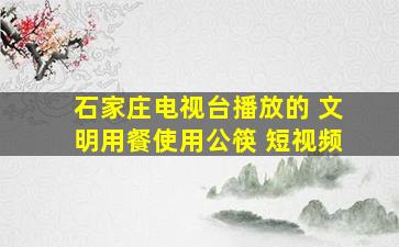 石家庄电视台播放的 文明用餐使用公筷 短视频